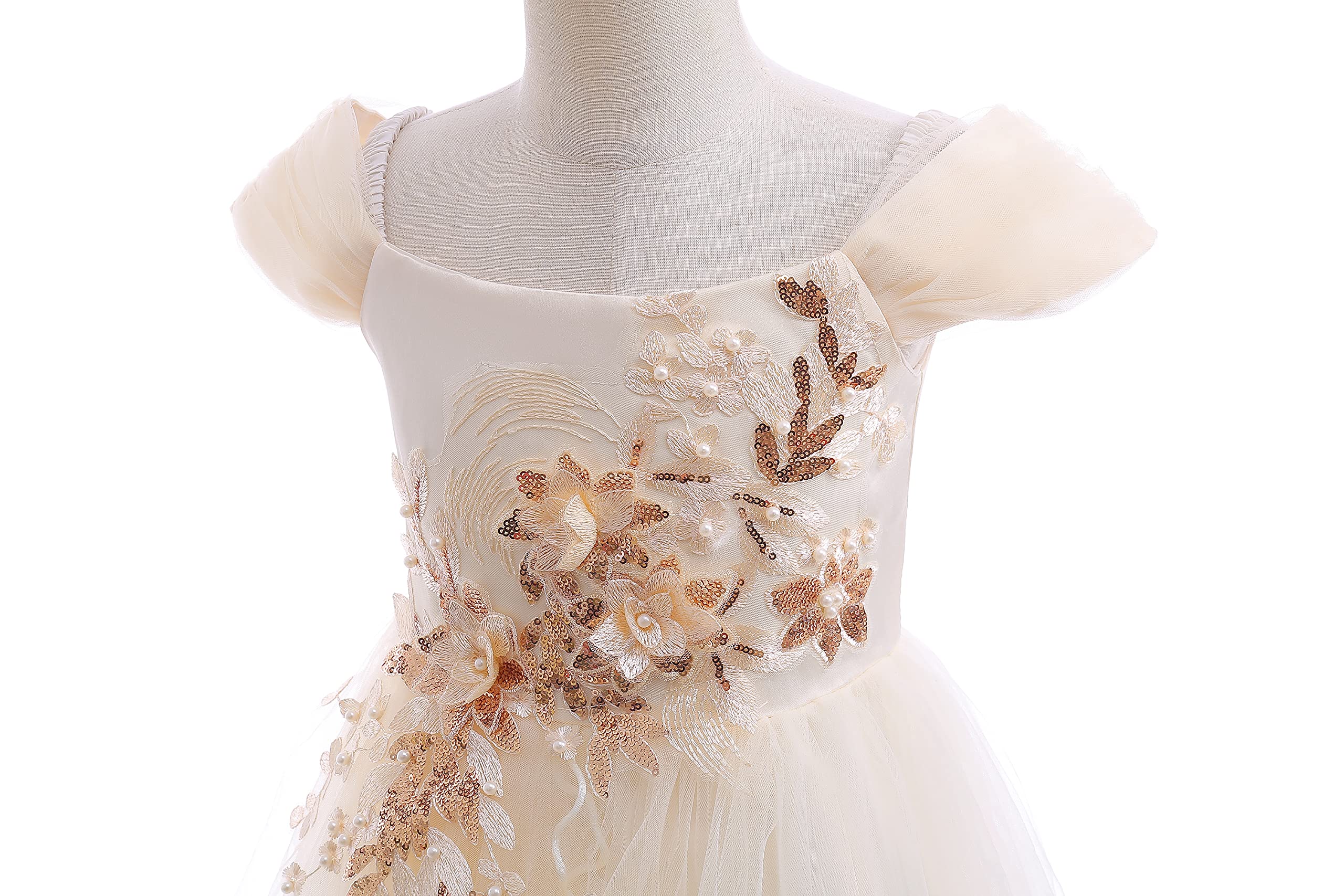 Weileenice Vintage Off the Shoulder Flower Girl Dress Lace Embroidery Little/Big Girls Wedding Bridesmaid Holiday Ballgown